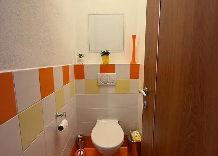 Alex 브라티슬라바